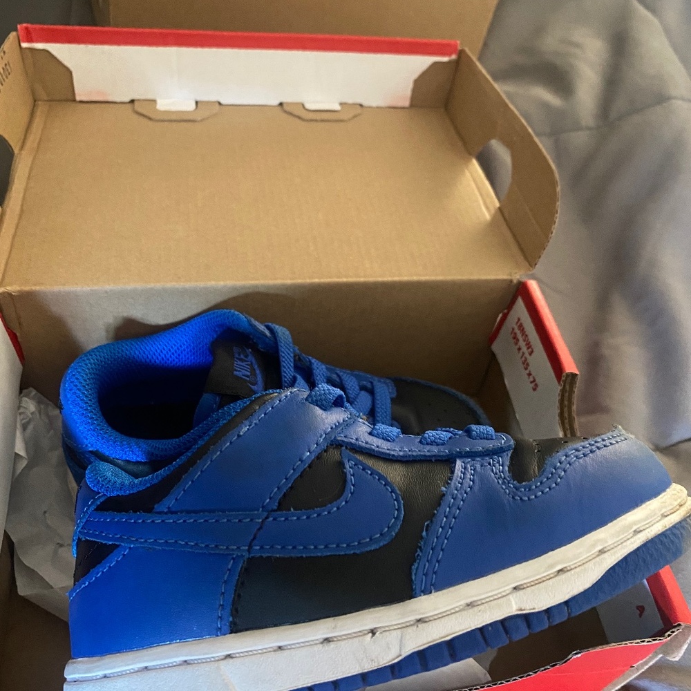 Dunk low toddler